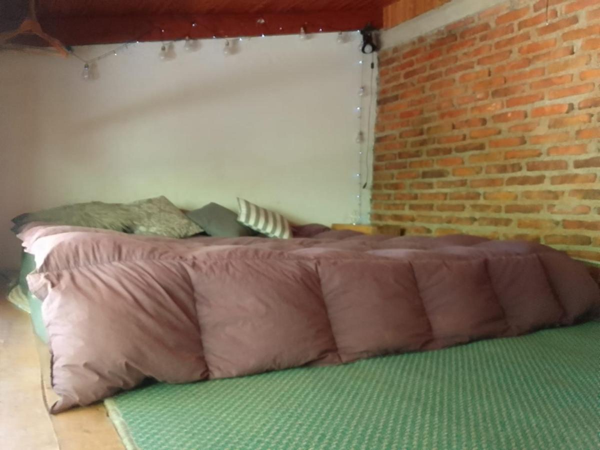 Casita En La Montana Apartman San Martín de los Andes Kültér fotó