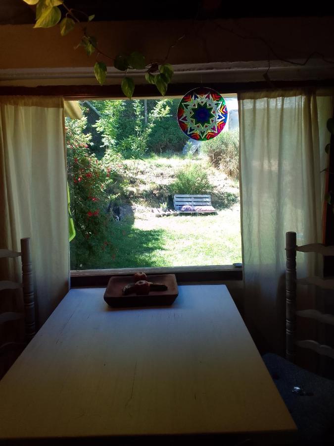 Casita En La Montana Apartman San Martín de los Andes Kültér fotó